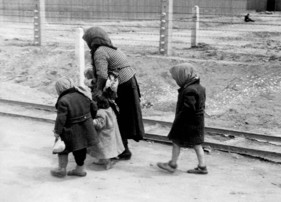 Auschwitz, summer 1944: elderly Jewish woman with young children on her way to the gas chambers